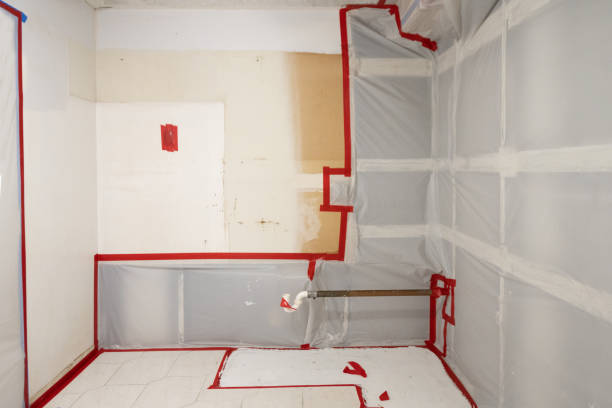Best Mold-Related Health Consultation  in Middleburg, PA