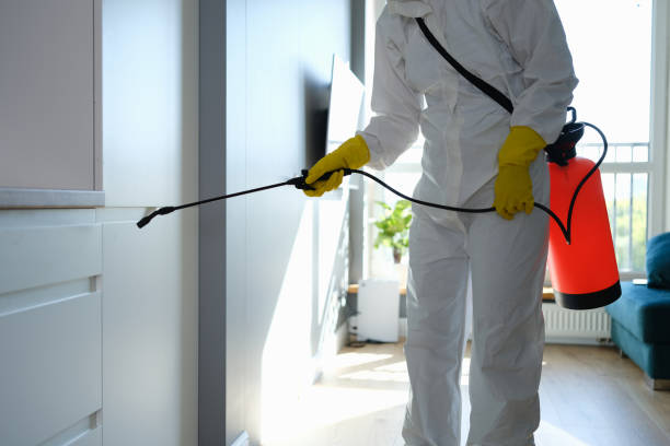 Mold Odor Removal Services in Middleburg, PA