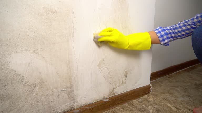 Mold Removal for HVAC Installations in Middleburg, PA