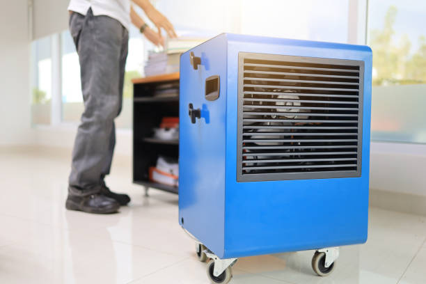 Best Attic Mold Removal  in Middleburg, PA